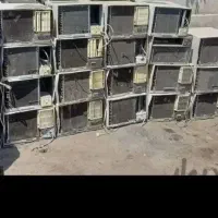 سوخته نیمسوزه ضعیف شده مشتریی.       مشتری