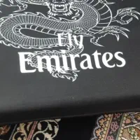 کیف همراه PS4