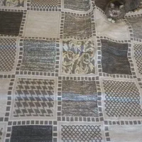 گلیم فرش ۶ متری