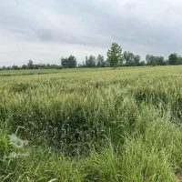 کارکرد با تجربه جهت رسیدگی به زمین های کشاورزی