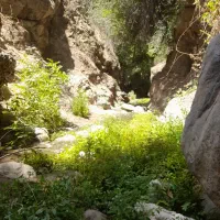 تور شاد باحال گروهی