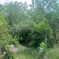 780مترزمین-باغی-وشالی