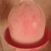 تعداد|ظروف سرو و پذیرایی|رشتخوار, |دیوار