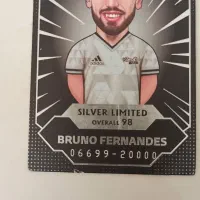 یک عدد سیلور