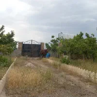 زمین باغی دوتا ۵۵۰متری کنار هم