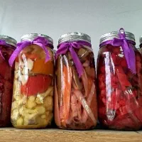 ترشی خانگی متفاوت