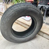 لاستیک درحد بارز