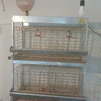 قفس مرغ تخمگذار