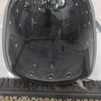 کوله پشتی پرنده