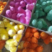 جوجه رنگی زیر قیمت5تومن