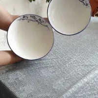 دو بشقاب خورشت خوری گود بزرگ