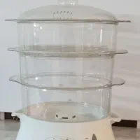 بخار پز