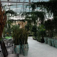 استخدام نیروی اقا کار گلخانه گیلدا