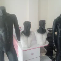 مانکن مردانه و رگال