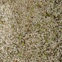 آویش تازه کوه کرکس