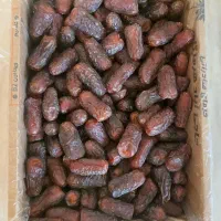 خرما|خوردنی و آشامیدنی|تهران, تجریش|دیوار