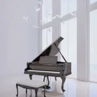 آموزش موسیقی تضمینی تخصصی خصوصی در منزل توسط خانم