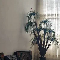 درختچه