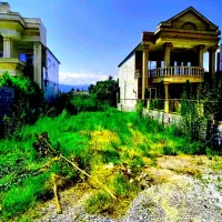 فروش-زمین-جنگلی-باسند-اب-برق-رو-ملک-بساز-سریع