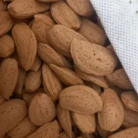 بادام