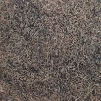 زیره کوهی خوش عطر