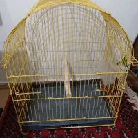 قفس