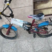 دوچرخه۱۶سالم