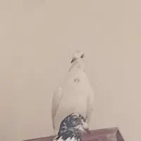 1000000