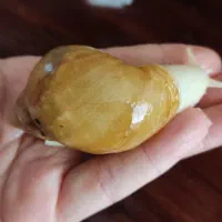 خزنده