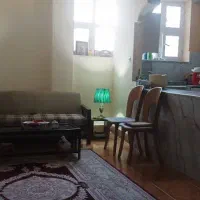 همخونه خانم