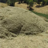 یونجه اول تاش برای فروش
