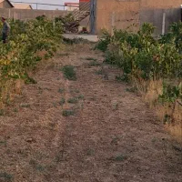 زمین ویلایی سند تک برگی در تاکستان