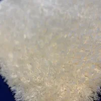 شگی|پادری|بندرعباس, |دیوار