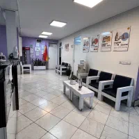 جذب مدرس چینی