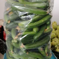 خیار درجه ۱ نیشابوری قلمی  کلی، جزعی