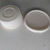ظرف یک بار مصرف گیاهی
