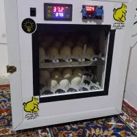 دستگاه جوجه کشی 84تایی نو