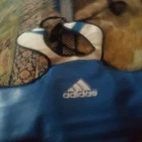 هوگو تکواندو