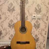 گیتار هافنر HAC204