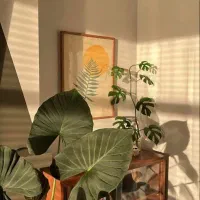 اجاره-اتاق-در-دفترکار-اشتراکی