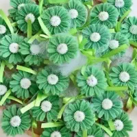گیفت عیدغدیر با تور و ربان لیبل