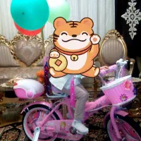 دوچرخه سایز۱۶