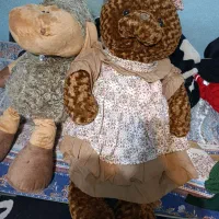 تدی و گوسفند