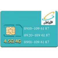 ۳ خط دائمی با شماره یکسان
