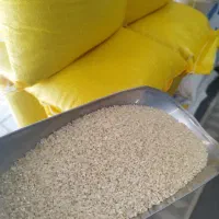 نیم دانه هاشمی و لاشه ممان میانه و خوشپخت(کالابرگ)