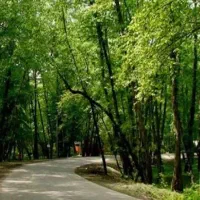 سوئیت آپارتمان فریدونکنار