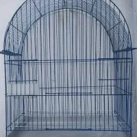 فروش قفس