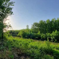 1500مترزمین-اعیانی-قدیمی-سنددار-یه-طرف-رودخونه
