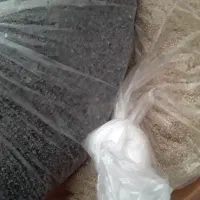 بذر دارویی