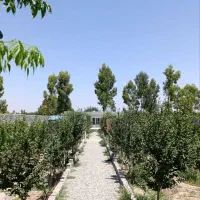 فروش باغ ویلا پیشوا